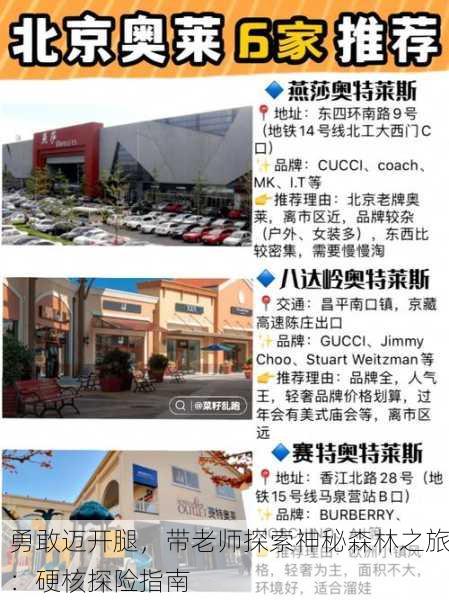 勇敢迈开腿，带老师探索神秘森林之旅：硬核探险指南