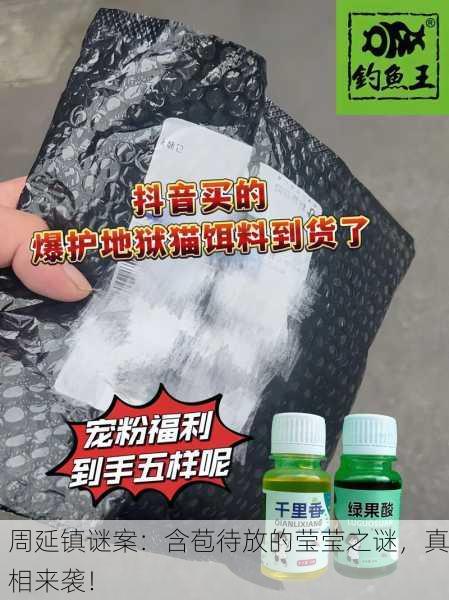 周延镇谜案：含苞待放的莹莹之谜，真相来袭！