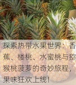 探索热带水果世界：香蕉、楼桃、水蜜桃与猕猴桃菠萝的奇妙旅程，果味狂欢上线！