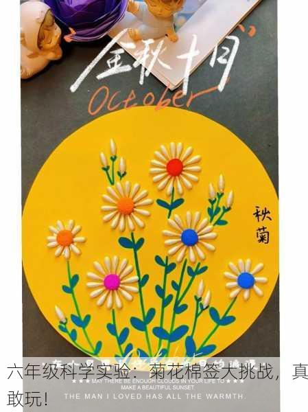 六年级科学实验：菊花棉签大挑战，真敢玩！