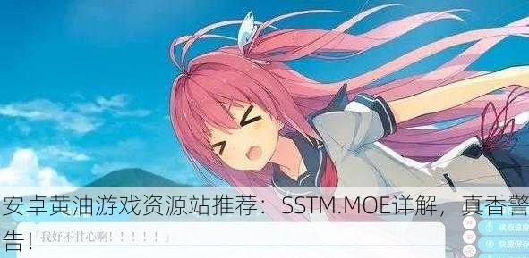 安卓黄油游戏资源站推荐：SSTM.MOE详解，真香警告！