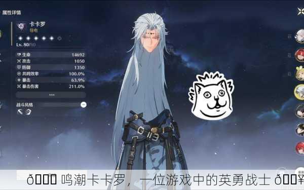 🚀 鸣潮卡卡罗，一位游戏中的英勇战士 🔥