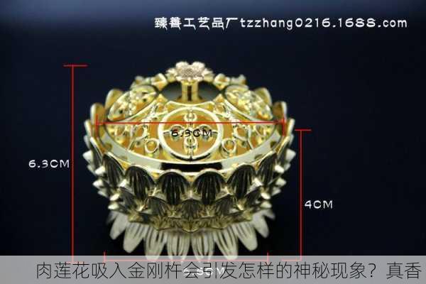 肉莲花吸入金刚杵会引发怎样的神秘现象？真香！
