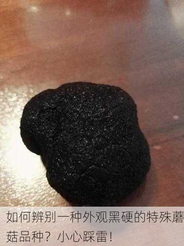 如何辨别一种外观黑硬的特殊蘑菇品种？小心踩雷！