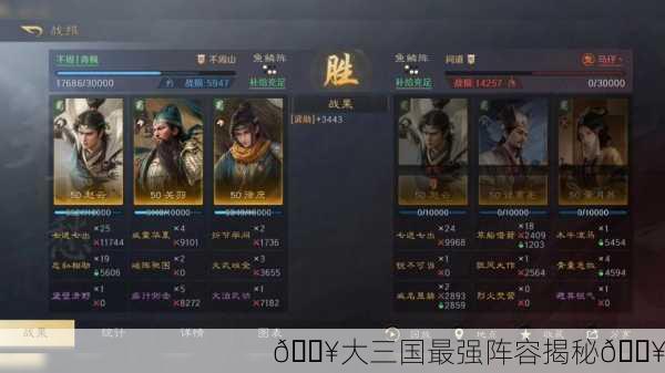 🔥大三国最强阵容揭秘🔥