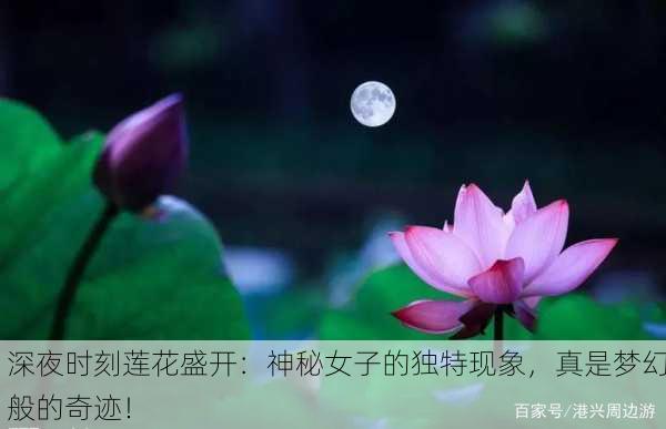 深夜时刻莲花盛开：神秘女子的独特现象，真是梦幻般的奇迹！