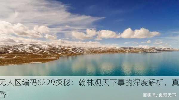无人区编码6229探秘：翰林观天下事的深度解析，真香！