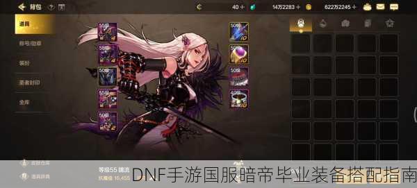 DNF手游国服暗帝毕业装备搭配指南