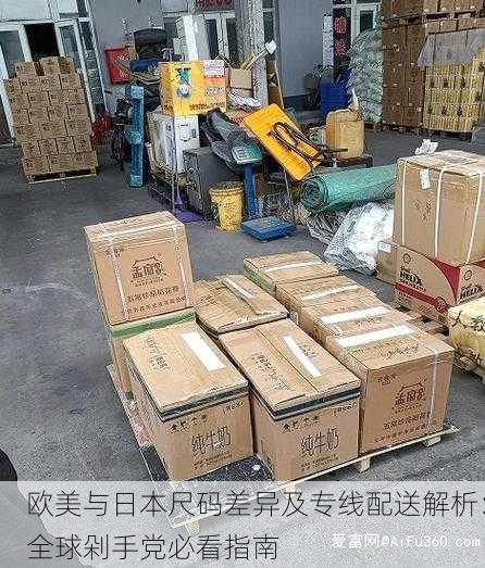 欧美与日本尺码差异及专线配送解析：全球剁手党必看指南