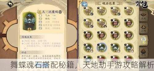 舞蝶魂石搭配秘籍，天地劫手游攻略解析
