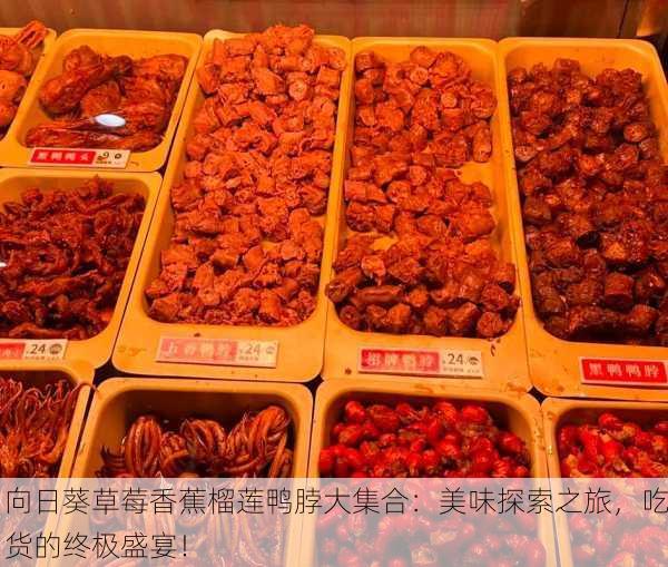 向日葵草莓香蕉榴莲鸭脖大集合：美味探索之旅，吃货的终极盛宴！