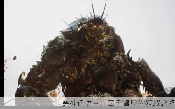 黑神话悟空，毒手臂甲的获取之路