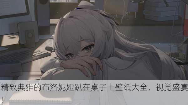 精致典雅的布洛妮娅趴在桌子上壁纸大全，视觉盛宴！