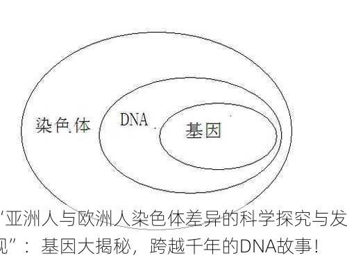 “亚洲人与欧洲人染色体差异的科学探究与发现”：基因大揭秘，跨越千年的DNA故事！