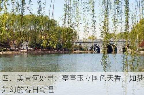 四月美景何处寻：亭亭玉立国色天香，如梦如幻的春日奇遇