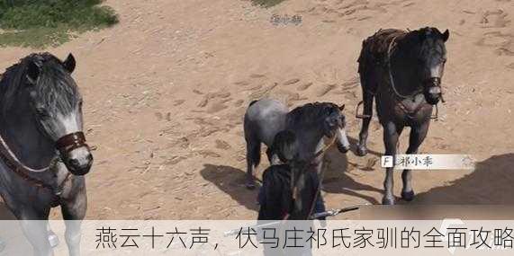 燕云十六声，伏马庄祁氏家驯的全面攻略