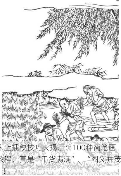 床上插秧技巧大揭示：100种简笔画教程，真是“干货满满”、“图文并茂”！