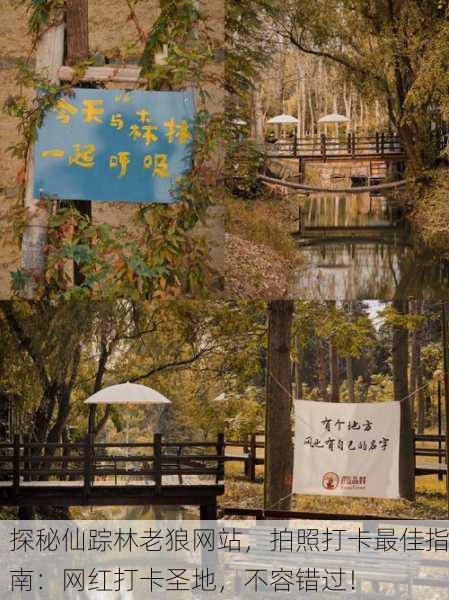 探秘仙踪林老狼网站，拍照打卡最佳指南：网红打卡圣地，不容错过！