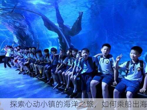 探索心动小镇的海洋之旅，如何乘船出海