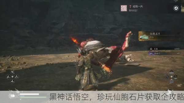 黑神话悟空，珍玩仙胞石片获取全攻略