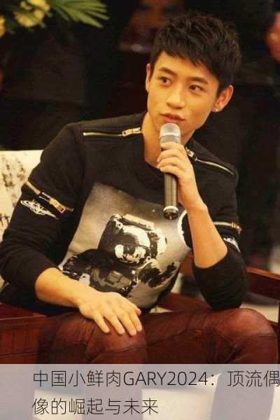 中国小鲜肉GARY2024：顶流偶像的崛起与未来