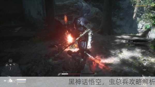 黑神话悟空，虫总兵攻略解析