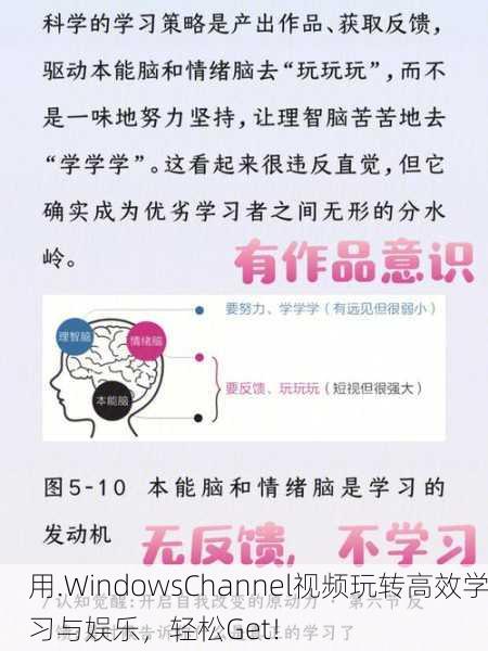 用.WindowsChannel视频玩转高效学习与娱乐，轻松Get！