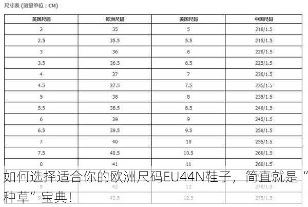 如何选择适合你的欧洲尺码EU44N鞋子，简直就是“种草”宝典！