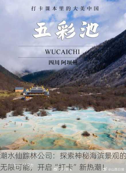 潮水仙踪林公司：探索神秘海滨景观的无限可能，开启“打卡”新热潮！