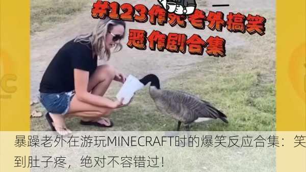 暴躁老外在游玩MINECRAFT时的爆笑反应合集：笑到肚子疼，绝对不容错过！