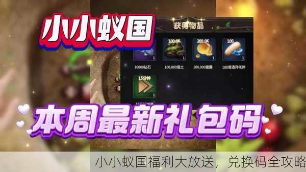 小小蚁国福利大放送，兑换码全攻略
