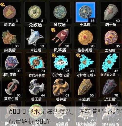 🛡️ 战地无疆法爆队，阵容搭配与技能配置解析 🔥