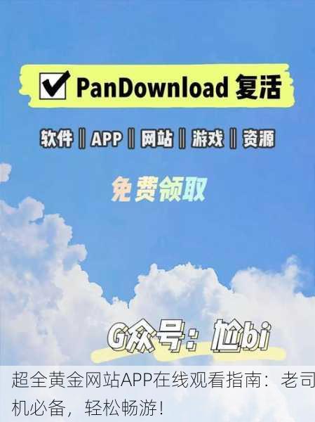 超全黄金网站APP在线观看指南：老司机必备，轻松畅游！