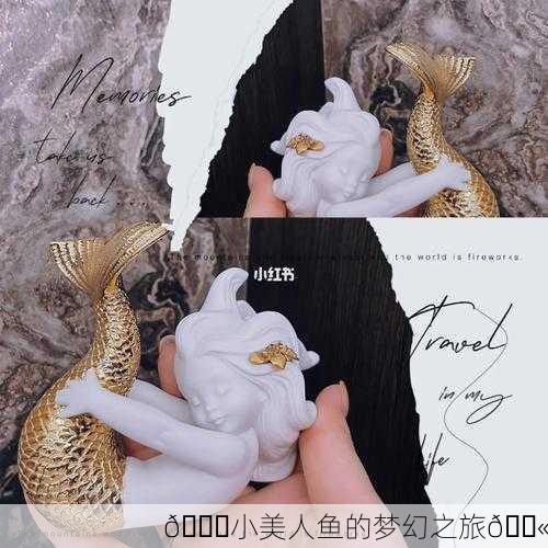 🌊小美人鱼的梦幻之旅💫
