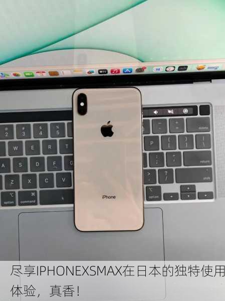 尽享IPHONEXSMAX在日本的独特使用体验，真香！
