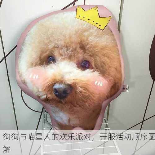 狗狗与喵星人的欢乐派对，开服活动顺序图解