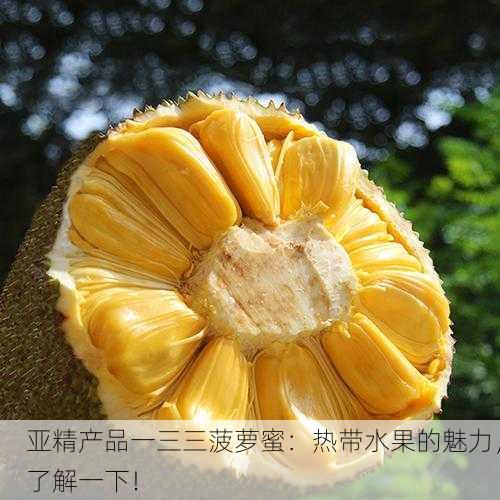 亚精产品一三三菠萝蜜：热带水果的魅力，了解一下！