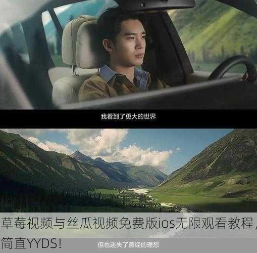 草莓视频与丝瓜视频免费版ios无限观看教程，简直YYDS！