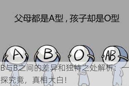 B与B之间的差异和独特之处解析：一探究竟，真相大白！