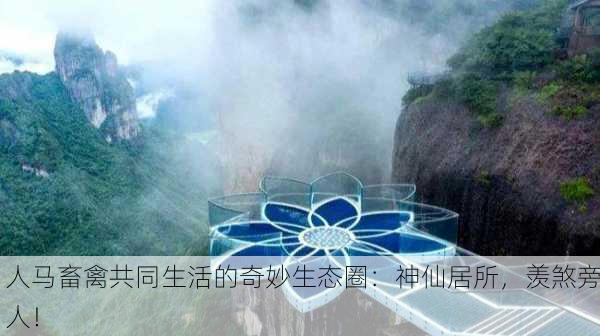 人马畜禽共同生活的奇妙生态圈：神仙居所，羡煞旁人！