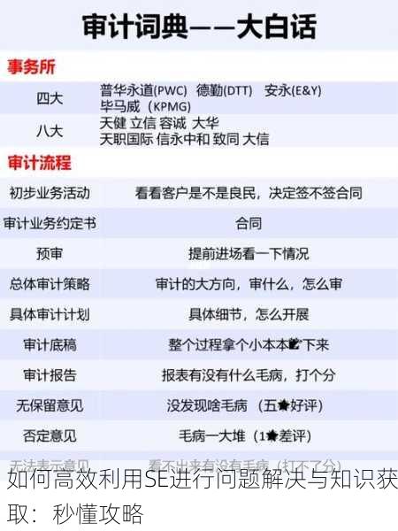 如何高效利用SE进行问题解决与知识获取：秒懂攻略