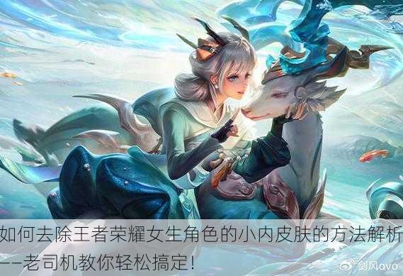 如何去除王者荣耀女生角色的小内皮肤的方法解析——老司机教你轻松搞定！
