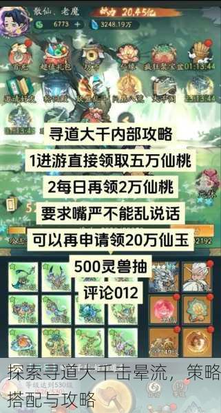 探索寻道大千击晕流，策略搭配与攻略