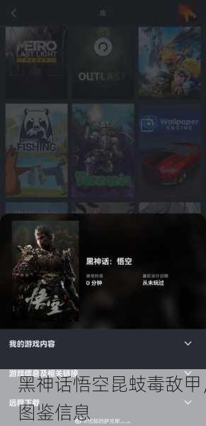 黑神话悟空昆蚑毒敌甲，图鉴信息