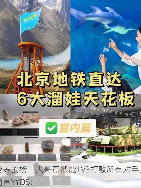 我养的榜一大哥竟然能1V3打败所有对手，简直YYDS!