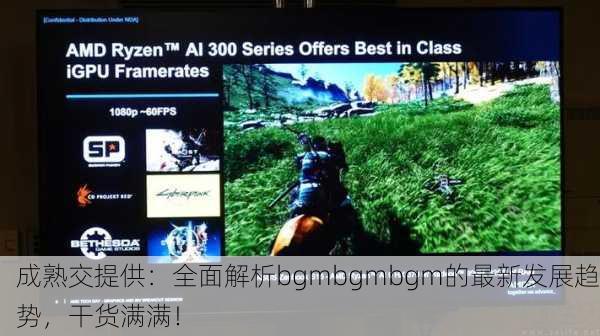 成熟交提供：全面解析bgmbgmbgm的最新发展趋势，干货满满！