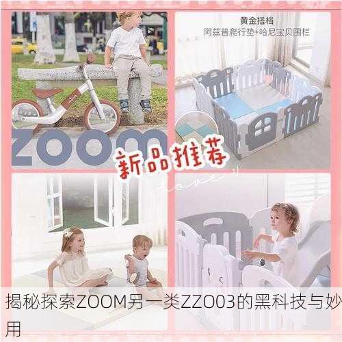 揭秘探索ZOOM另一类ZZO03的黑科技与妙用