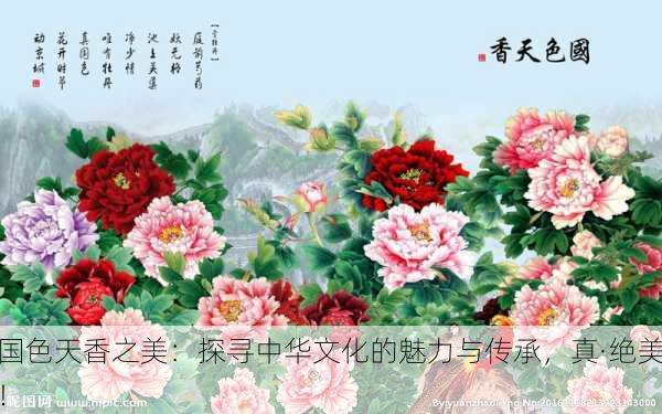 国色天香之美：探寻中华文化的魅力与传承，真·绝美！
