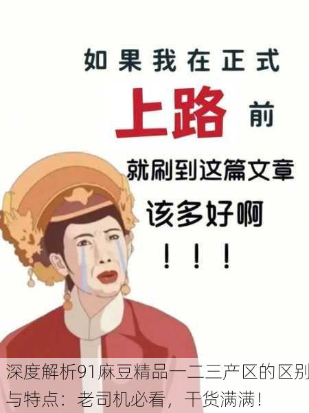 深度解析91麻豆精品一二三产区的区别与特点：老司机必看，干货满满！