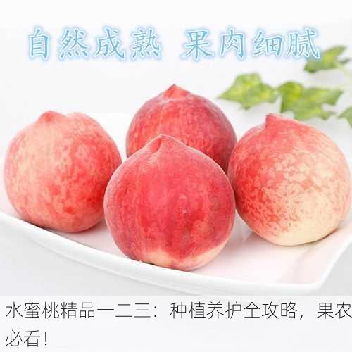 水蜜桃精品一二三：种植养护全攻略，果农必看！